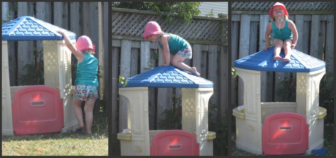 determination - July 2011