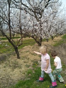 My kids hate posing. This really is the best I have to offer.