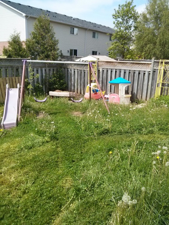 in the midst of mowing