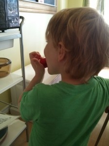 Jake snacking on tomatoes while I try to can spaghetti sauce