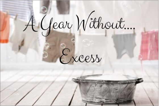 a-year-without-excess